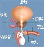 ԰֢״