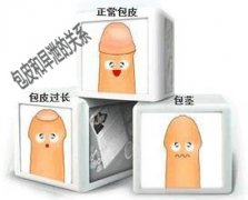 йͰƤйϵô